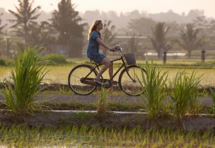 "Eat, Pray, Love"